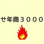 目指せ年商３０００万円