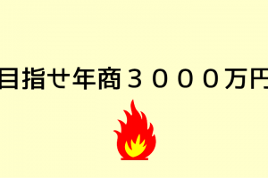 目指せ年商３０００万円