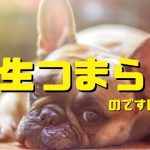 人生がつまらない