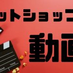 ネットショップの動画制作方法