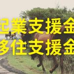 起業支援金