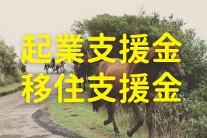 起業支援金