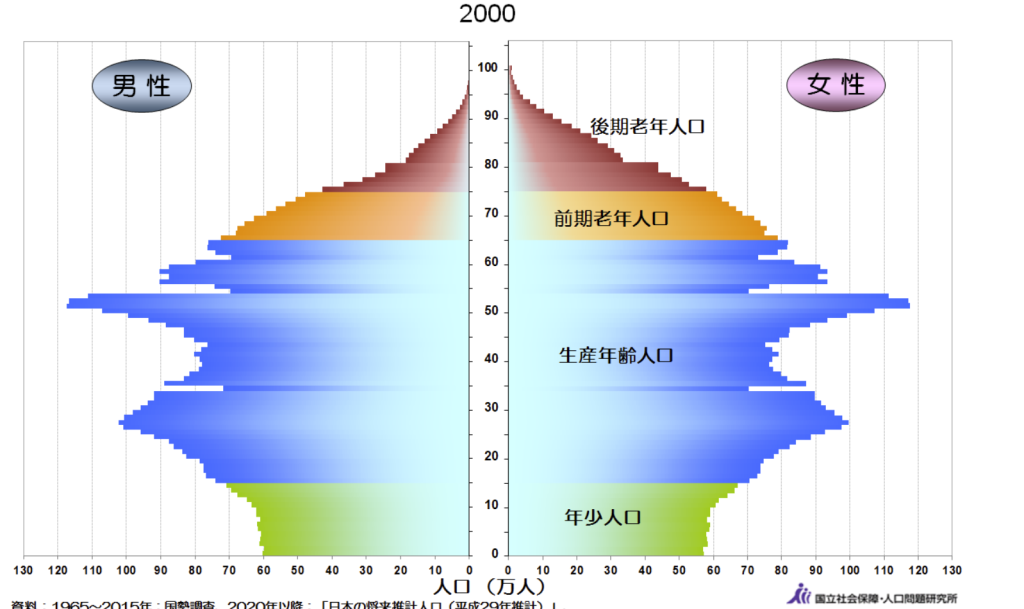 2000年の人口ピラミッド