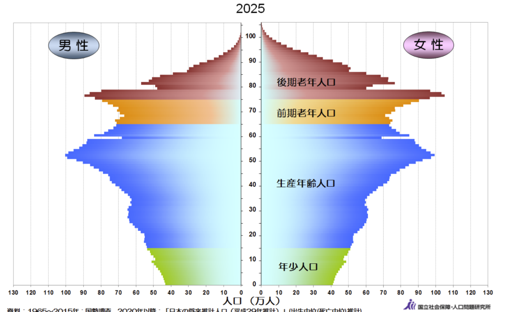 2025年の人口ピラミッド