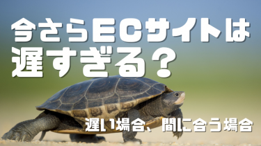 今からＥＣを始めるのは遅すぎる？成功できない？