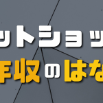ネットショップの年収はどうなのか?