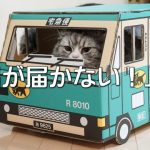 荷物が届かない場合の対処法