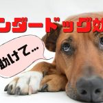 アンダードッグ効果